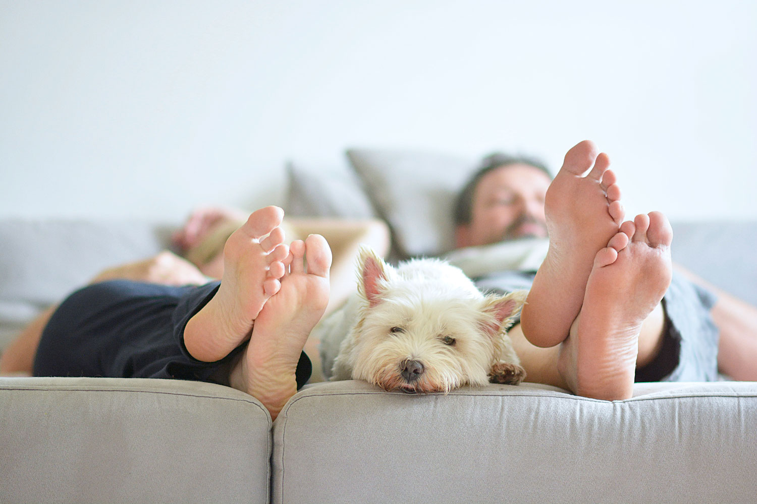 Man, Woman and Dog Relaxing